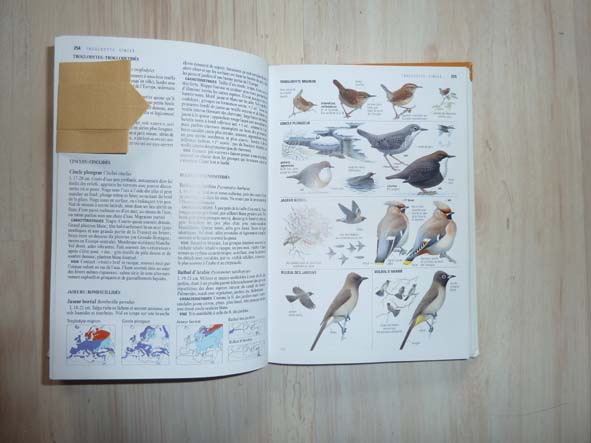 le marque page vincent de vincent Achard
canson safran doré 9/9
