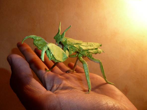 boxing mantis manuel sirgo
sandwich soie alu 30/30
