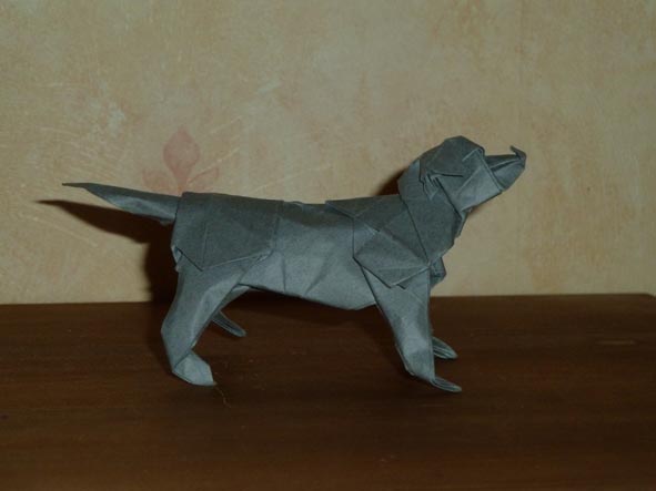 labrador de Quentin Trollip
carré de tant 30cm
plié à sec
