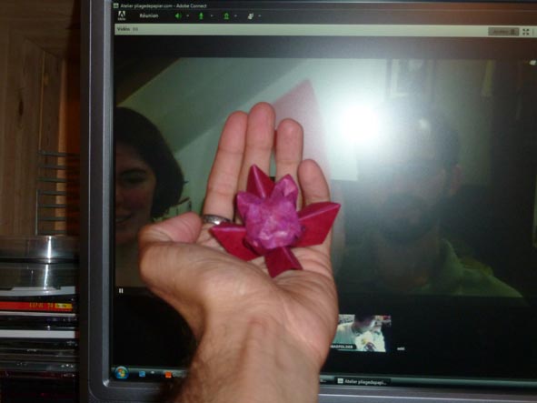fleur 1
