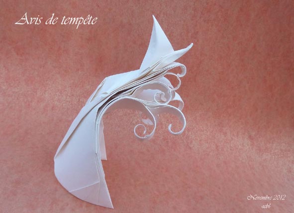 avis de tempête
