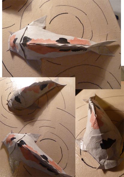 koi_2_details.jpg