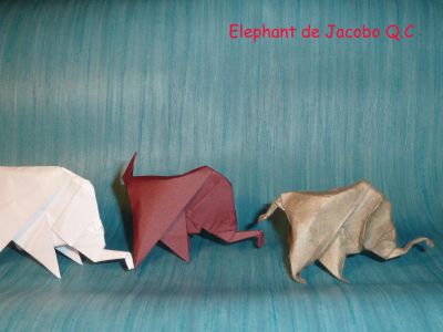 Elephant de Jacobo Q.C
