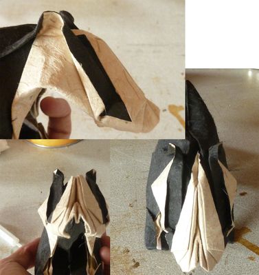 blaireau, détails de la tête 
