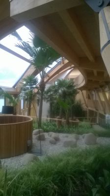 WP_20150904_003.jpg