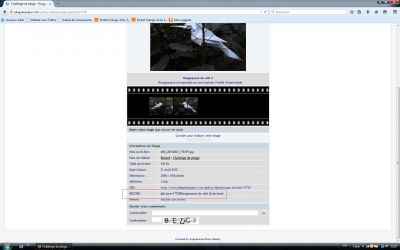 bbcode
