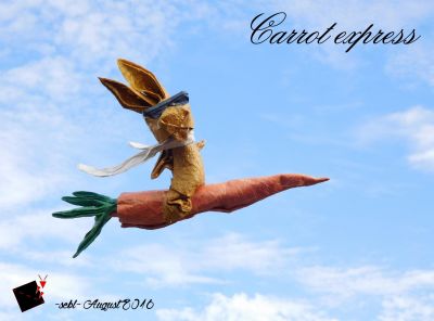 carrot express
