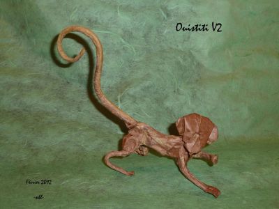 ouistiti V par -sebl-
