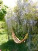 DSCN4403.jpg