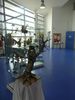P1100405.jpg