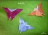 butterflies~0.jpg