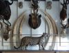 jpg_Salle_des_trophees_2_copie.jpg