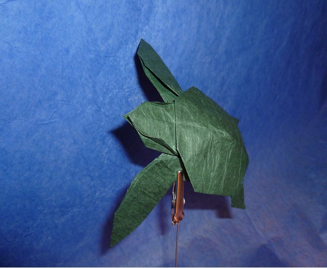 Green Turtle by Jacky Chan
Carré 20*20 Double soie au MC

