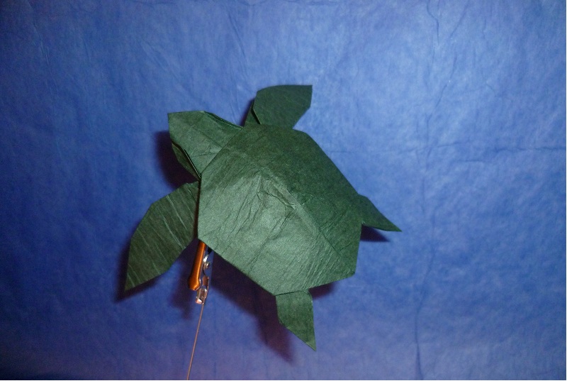 Green Turtle by Jacky Chan
Carré 20*20 Double soie au MC
