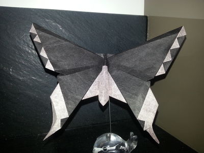Alexander Aztec Swallowtail
Double soie // 22cm * 22cm de M.Lafosse
