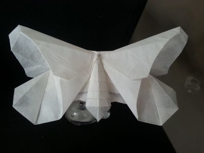 Lafosse's Moth
Double soie // 22cm * 22cm de M.Lafosse
