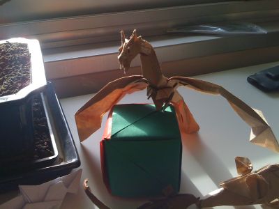 Dragon + Rose
