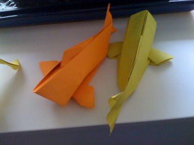 Carpes Sipho
Test Fold - Carré de 15*15 - 70 gm
