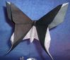 Nom du fichier=papillon.jpg
Taille du fichier=61Ko
Dimensions : 632x542
Ajouté le : 30 Mai 2013 papillon.jpg