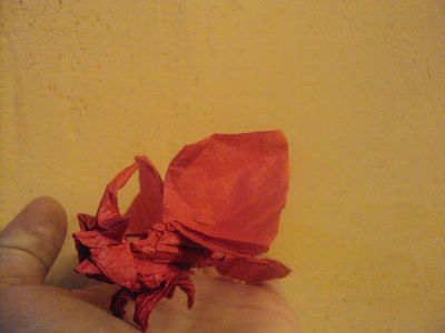DSC02295_opt.jpg