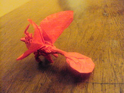 DSC02296_opt.jpg