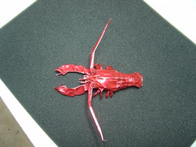 Bogavante2.JPG