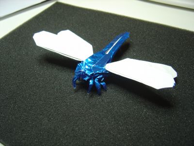 DragonFly1.JPG