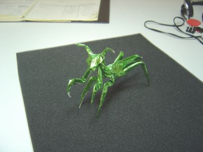 PrayingMantis3.JPG