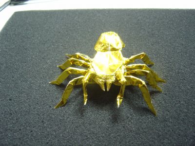 Tarantula2.JPG
