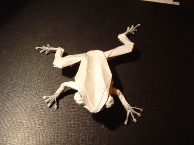 TreeFrog2.JPG