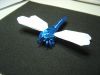 DragonFly1.JPG