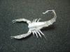 Nom du fichier=Scorpion.JPG
Taille du fichier=1452Ko
Dimensions : 2048x1536
Ajouté le : 21 Juillet 2011 Scorpion.JPG