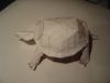 Nom du fichier=Turtle2.JPG
Taille du fichier=1429Ko
Dimensions : 2048x1536
Ajouté le : 21 Juillet 2011 Turtle2.JPG