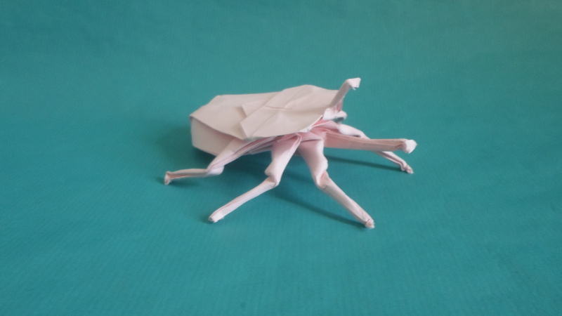 "beetle" - Jo Nakashima
