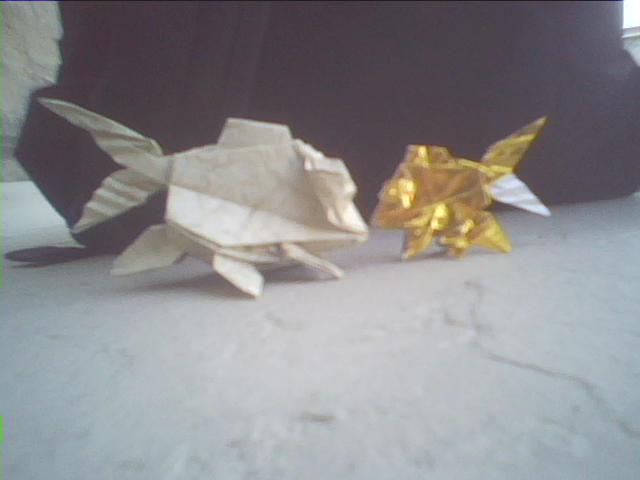 goldfish duo (Montroll/Lang "Sea life")
papier "marbré" 80g en 30*30
et alu/origami 15*15
Mots-clés: goldfish montroll