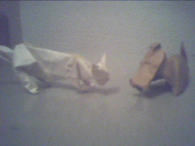 cat & dog (Eric Joisel)
chat en papier cadeau semi kraft 30*30
chien en papier origami 15*15
Mots-clés: chat chien scottish terrier joisel aberdeen
