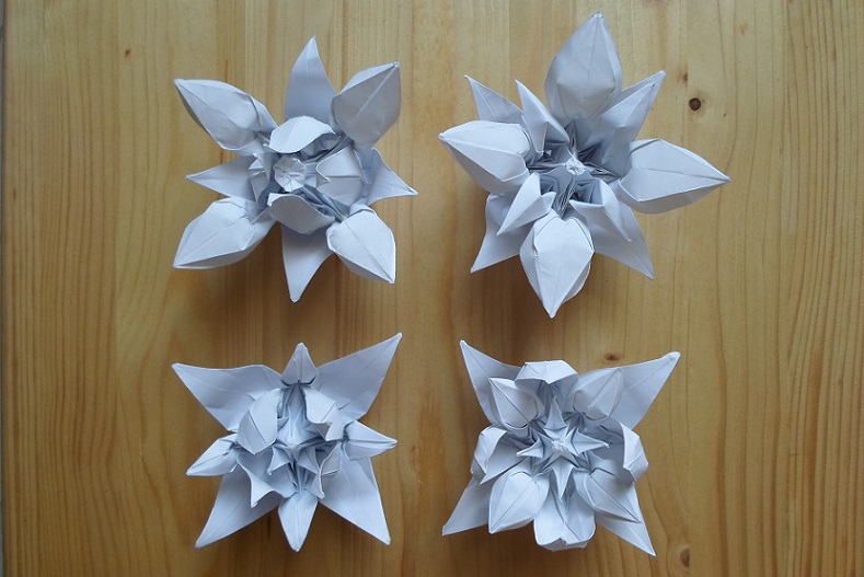 fleurs 3 modules
base de la grernouille sans pointe
