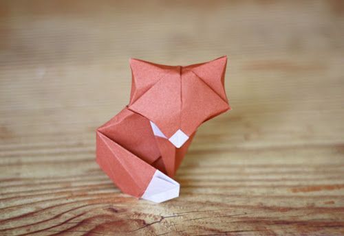 little fox Daniel Chang
