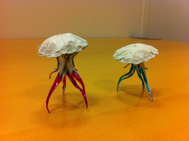 méduses
Manuel Sirgo
Papier alu/origami 15*15
Mots-clés: sirgo méduse alu origami