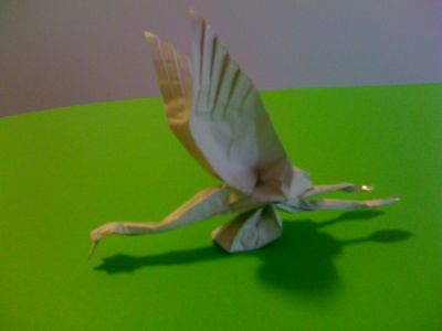 vol de grue sur pied
création sur base simplifiée des ailes de la "danse du cygne" de Hoang Tyen Quiet
Mots-clés: grue vol hoang tyen quiet cygne