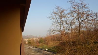 P13.JPG