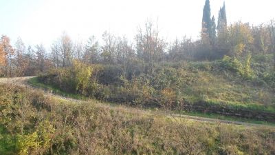 P14.JPG