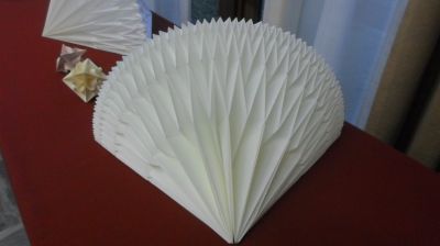 P34.JPG
