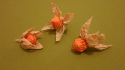 Physaliys
feuilles : base de "clematis sibirica" de Dimitry Lysiuk - 7,5cm
fruit : base du lys traditionnel - 5cm
