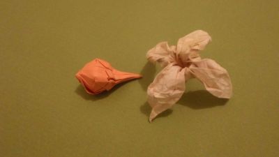 "Physalys"
feuille : base de "clematis sibirica" de Dimitry Lysiuk carré 7,5cm
fruit : base du lys traditionnel carré 5cm
