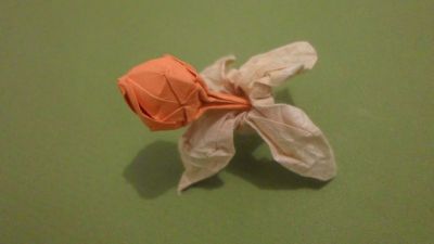 "Physalys"
feuille : base de "clematis sibirica" de Dimitry Lysiuk carré 7,5cm
fruit : base du lys traditionnel carré 5cm
