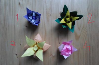 fleurs 2 et 3 modules
