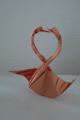 due cygni David Derudas
papier origami 70g/m² 20x20
Mots-clés: cycgne derudas