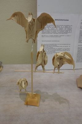 expo Madfolder
