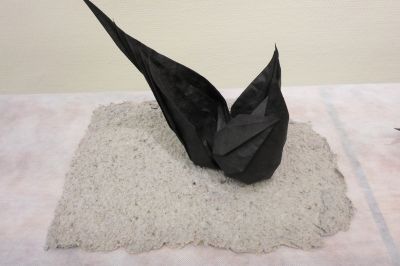 expo Aurèle
